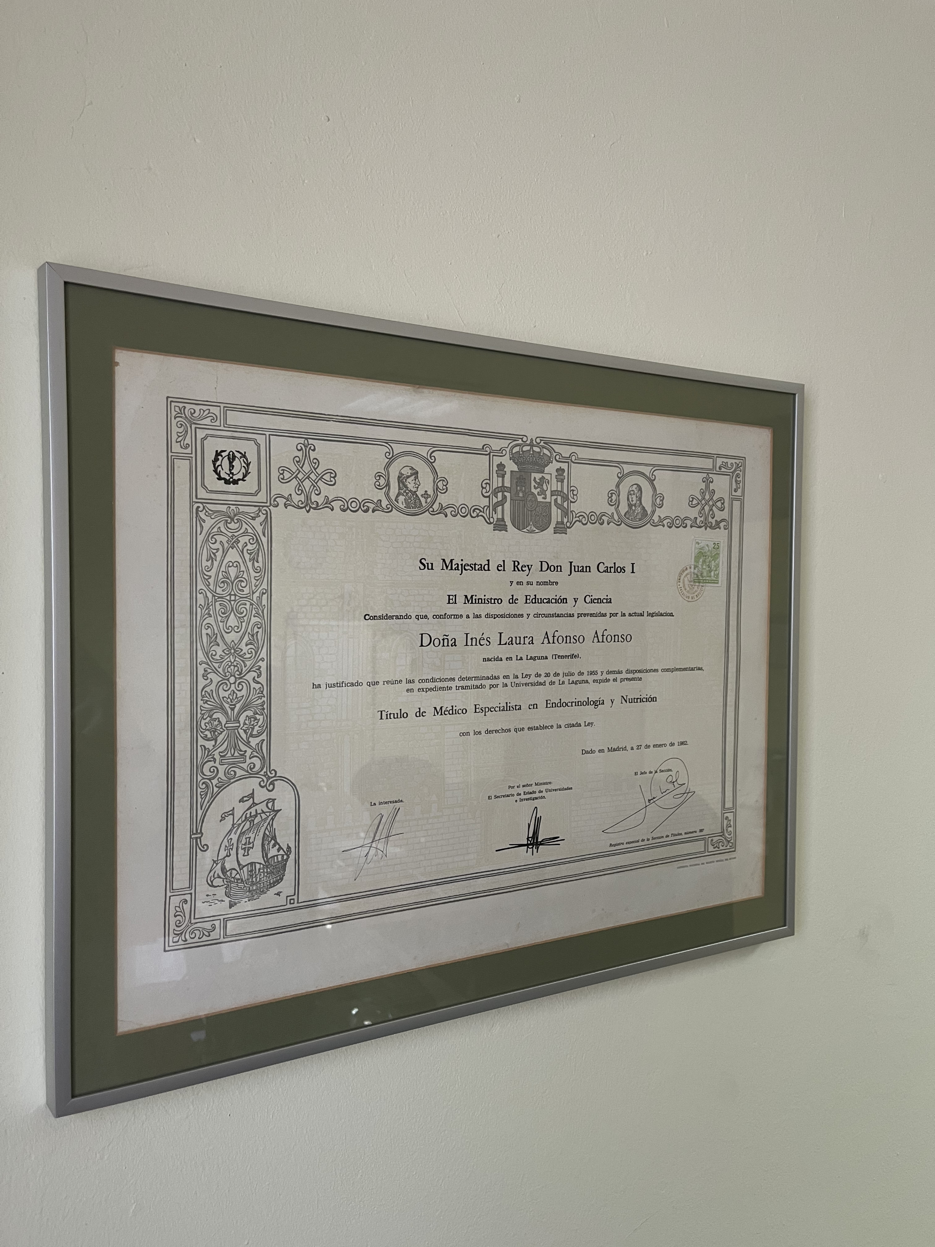 Diploma y certificados profesionales